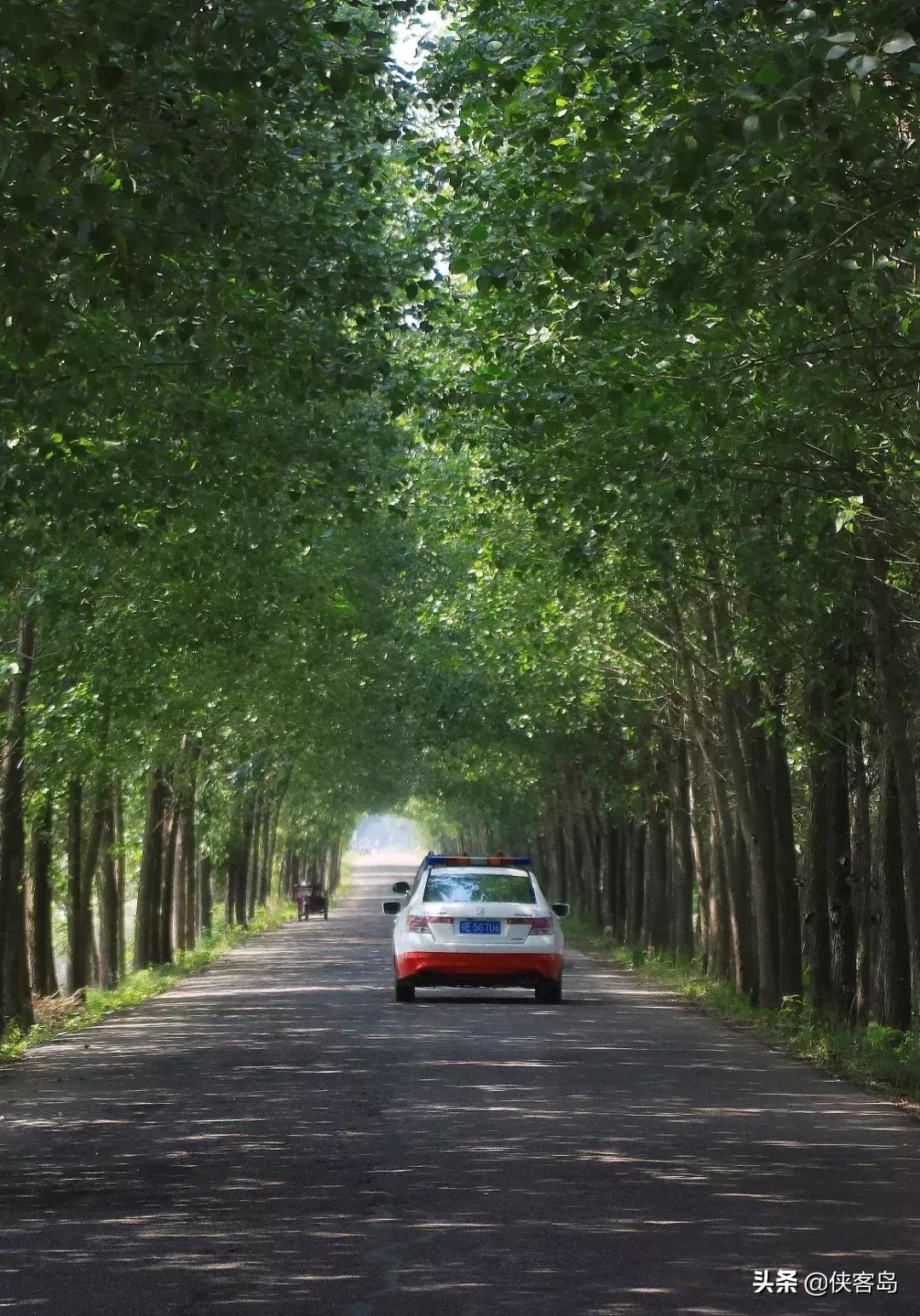 侠客岛：乡愁里的中国