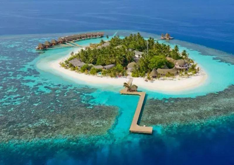 马尔代夫铂尔曼岛浮潜,马尔代夫奢华浮潜岛