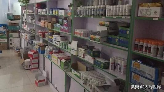 农村妇女创业做哪些项目比较好,55到65岁在农村能创业什么项目