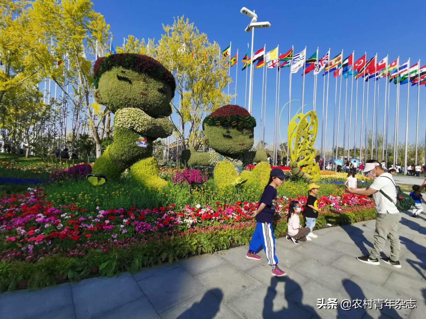 带你走遍北京世园公园,带你走进北京