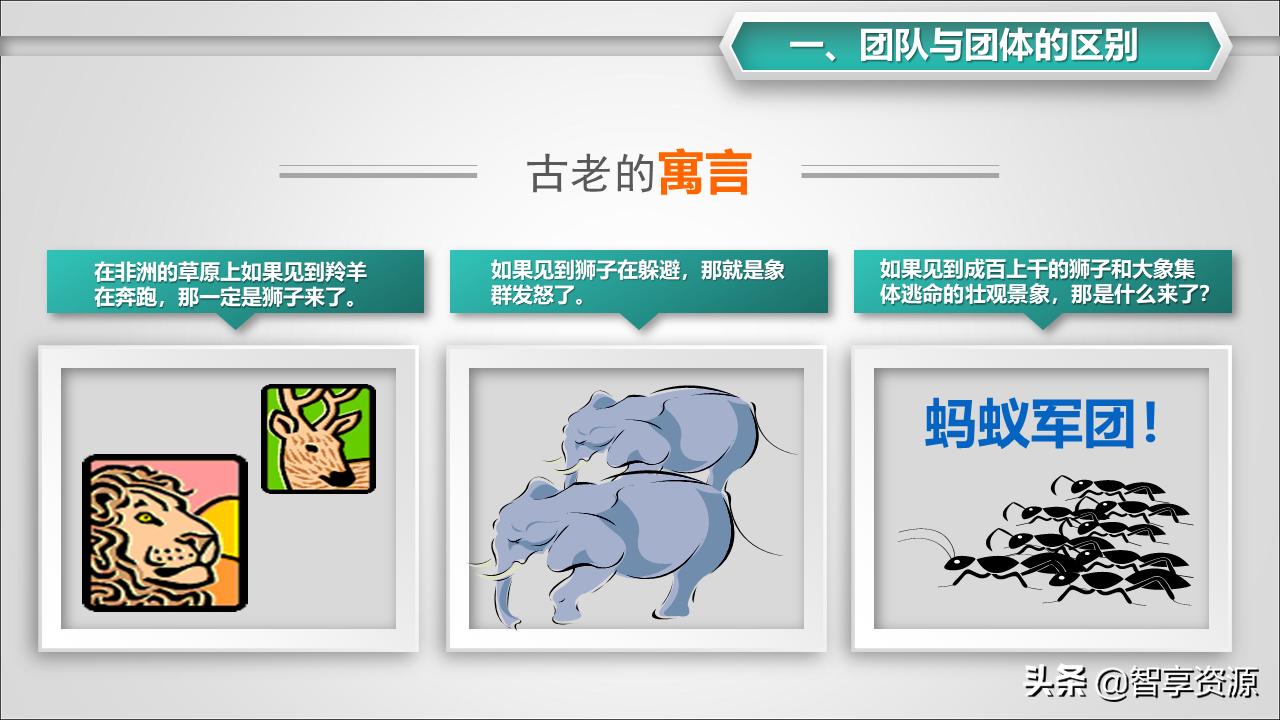 学校如何打造有凝聚力的团队,团队凝聚力简短小故事及感悟