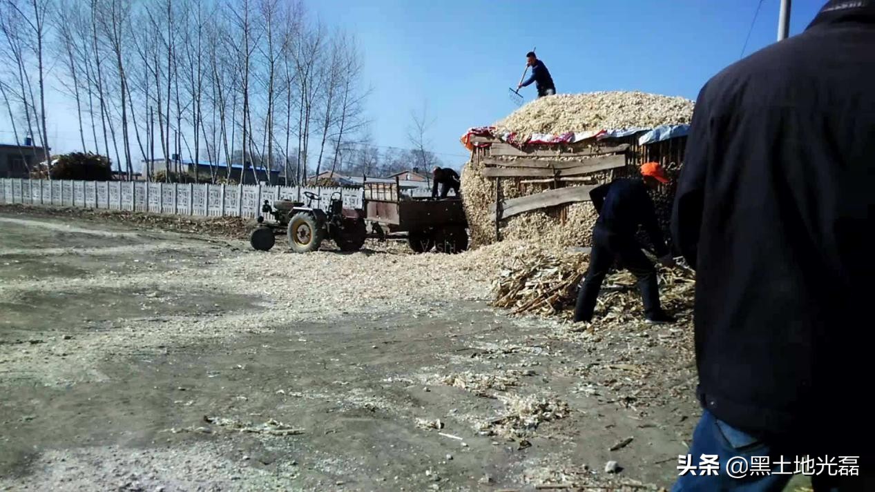 农村烂木头值钱吗,关于农村没人要的木头的视频