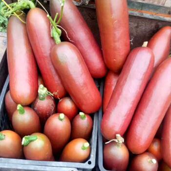 又一外来水果，听名字让人流口水，能当菜能当水果，少有人见过