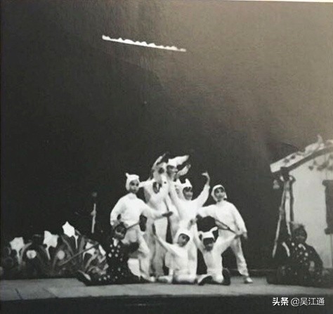 你可曾听说过向阳花小学？那可是当时的网红哦！