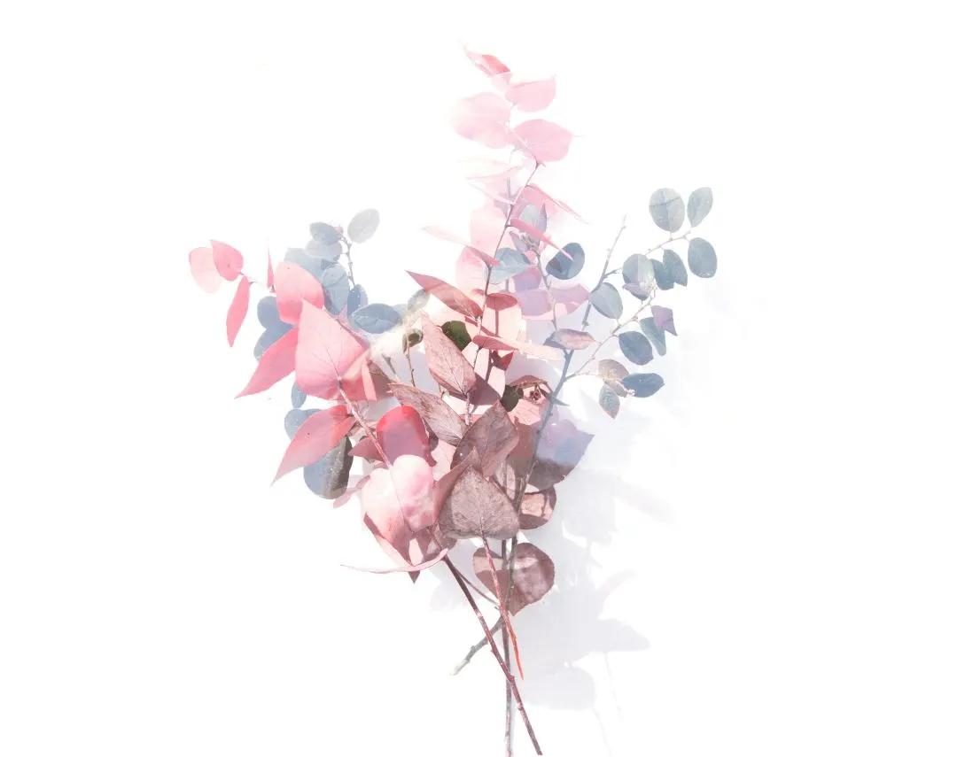 母亲节小孩子送妈妈什么礼物最好,母亲节送未来婆婆什么礼物比较好