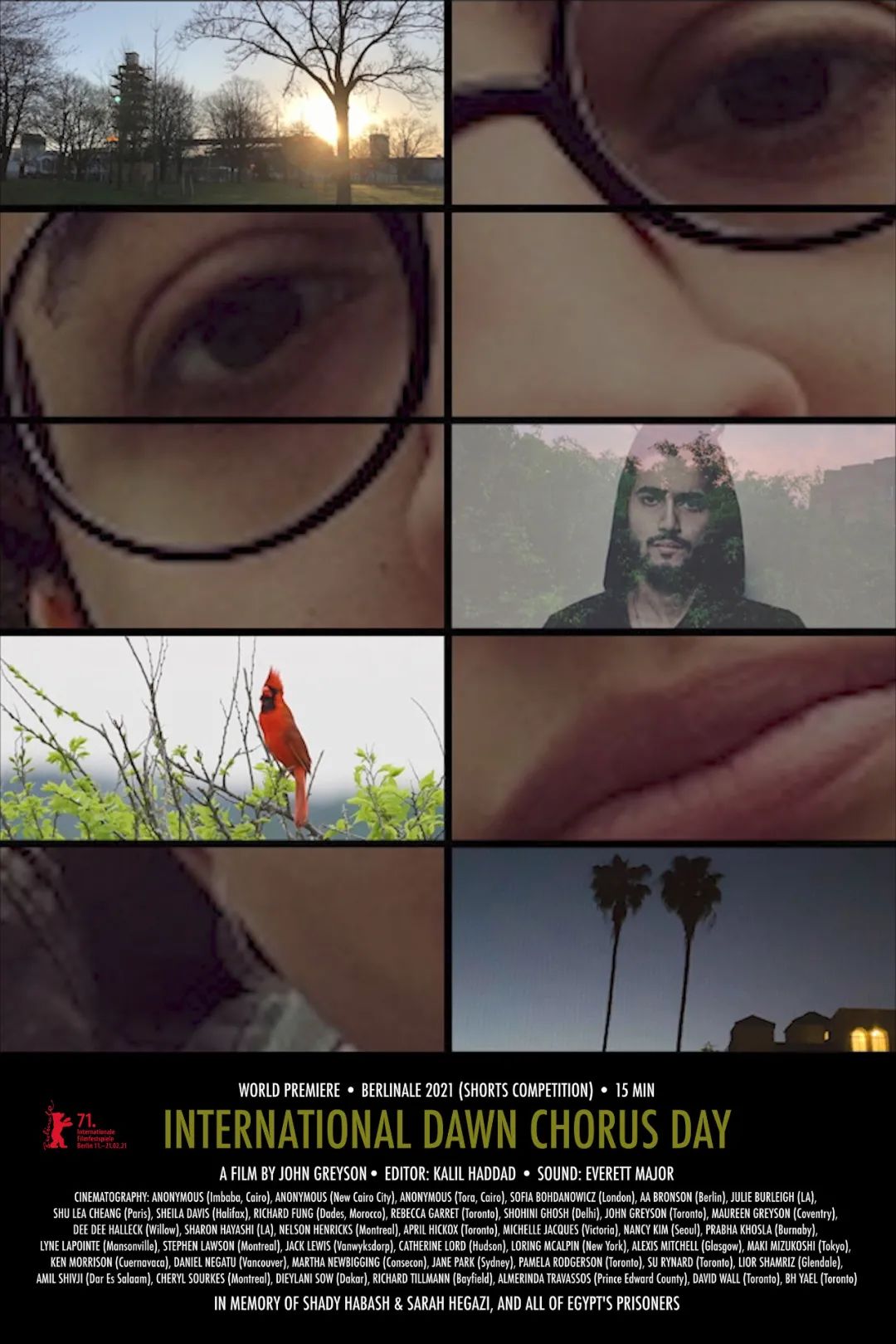 独家专栏|除了*片毛**，盘点下今年柏林还有什么生猛片