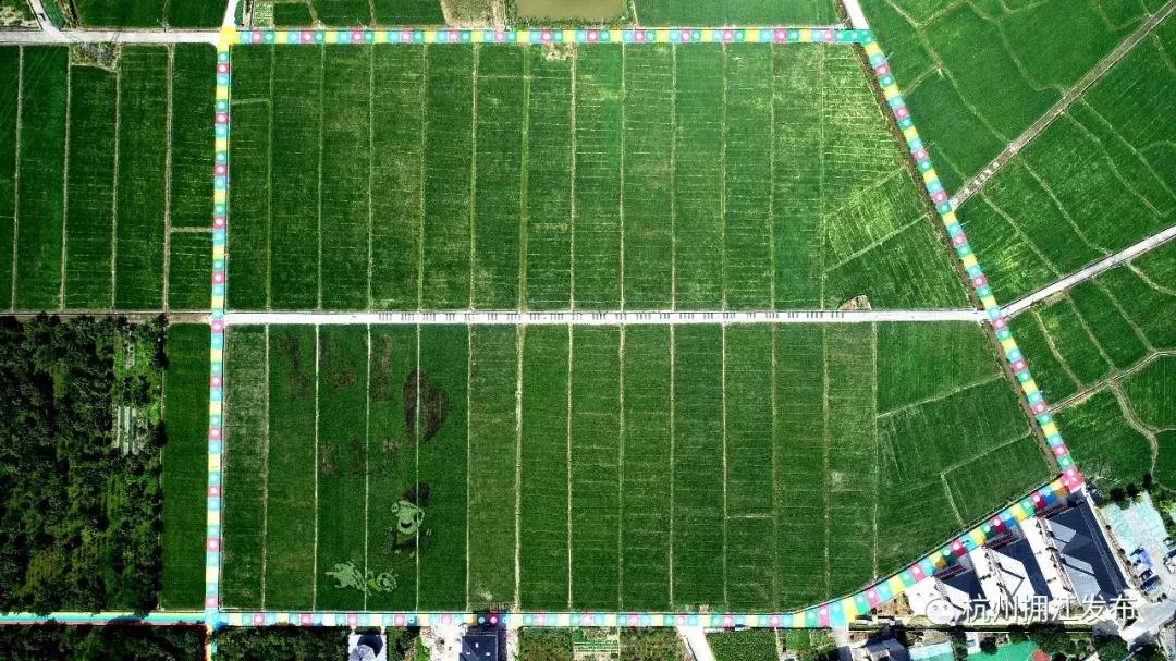 震撼!钱塘江畔出现巨型画作,有28个足球场这么大!