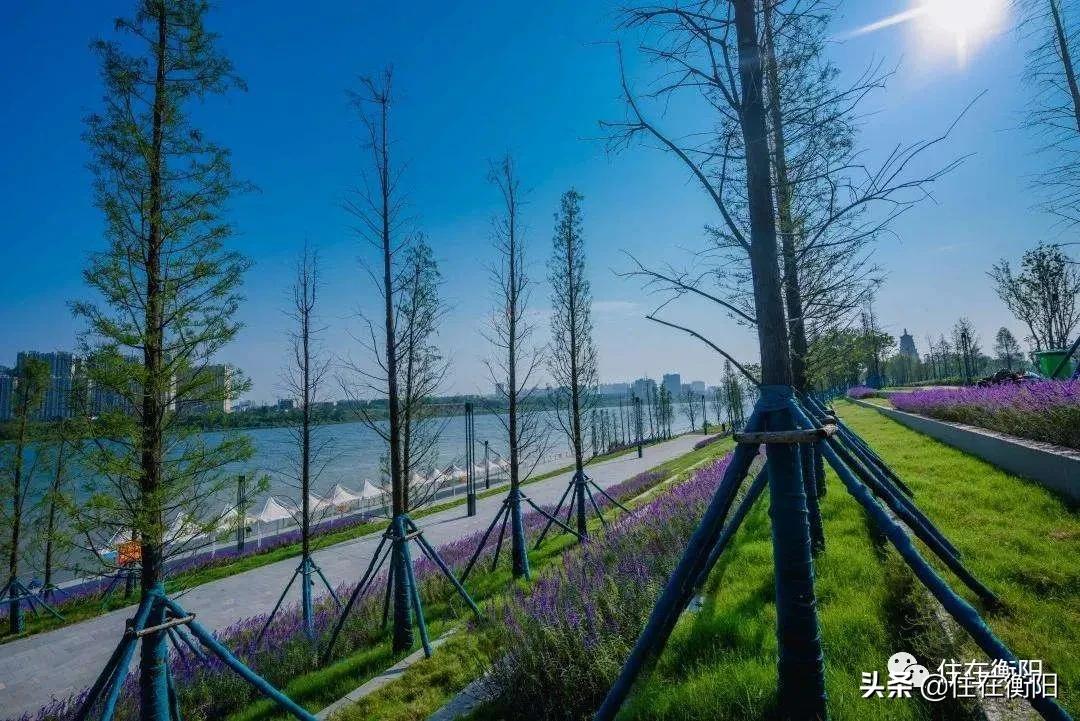 不看可惜！千亿央企亮相住博会！平时都很贵，除了这几天