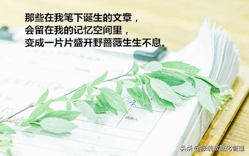 今夜的我完整版,今夜的我失眠