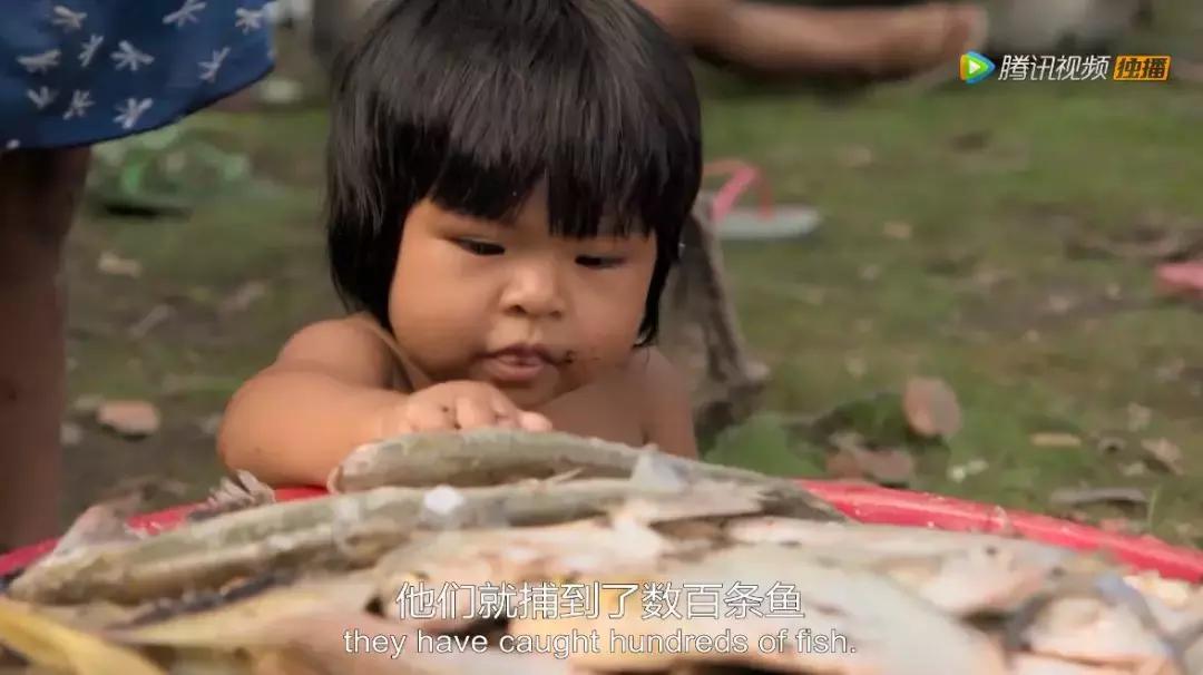 人在逆境要懂得坚持,面对逆境向阳而生