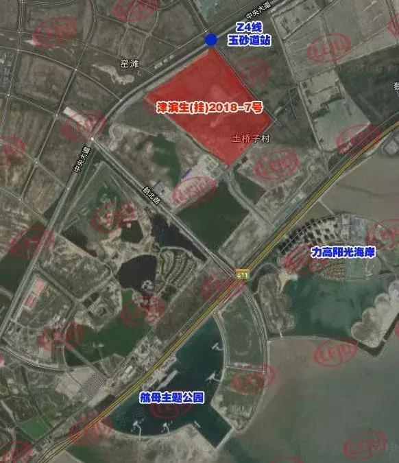 住在滨海的人有哪些,住海边的人怎么样了