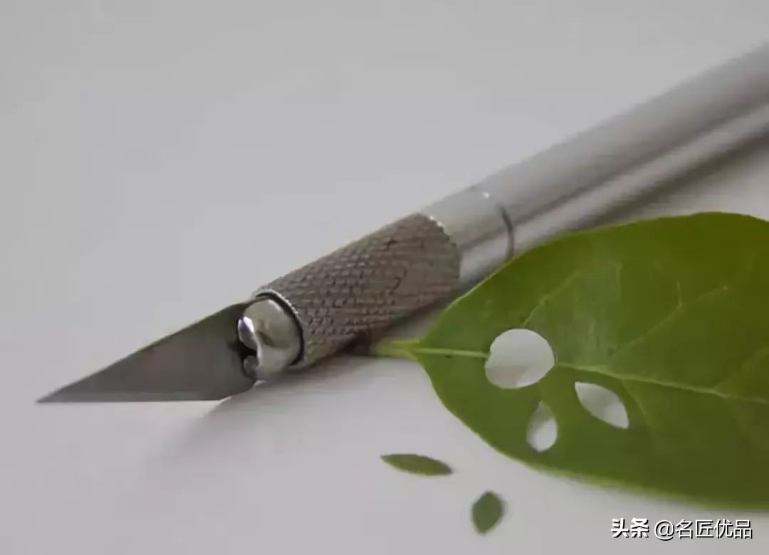 超惊艳的树叶手工,有趣的树叶手工制作