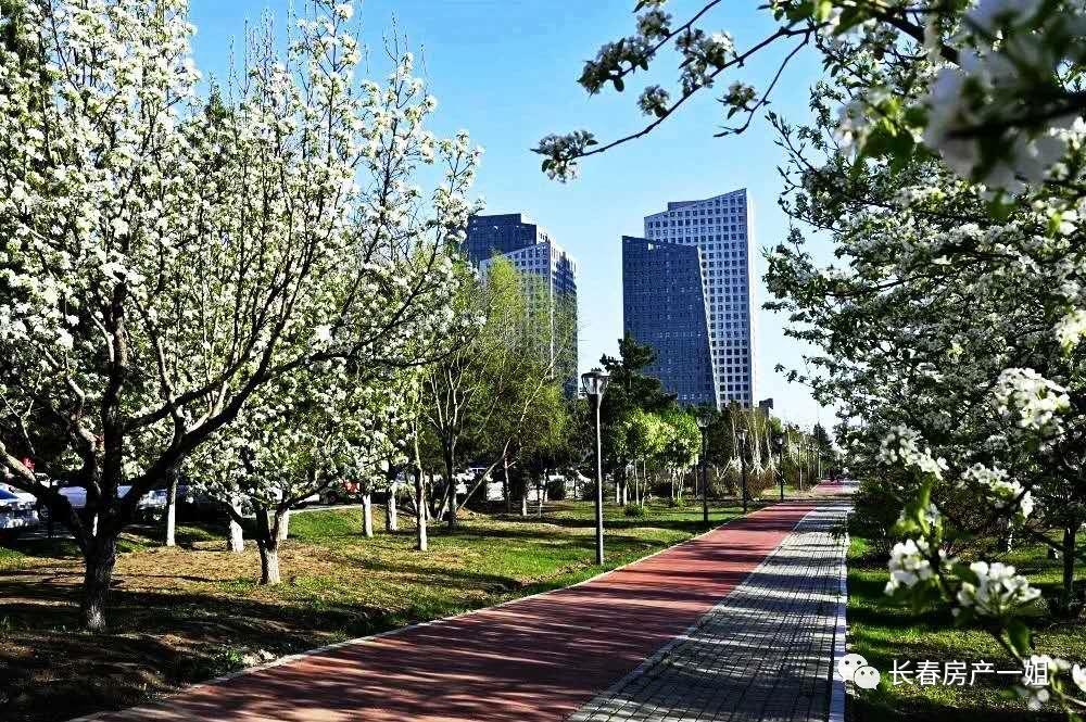 ​“繁华区”?聊一聊长春市的都市怪谈。