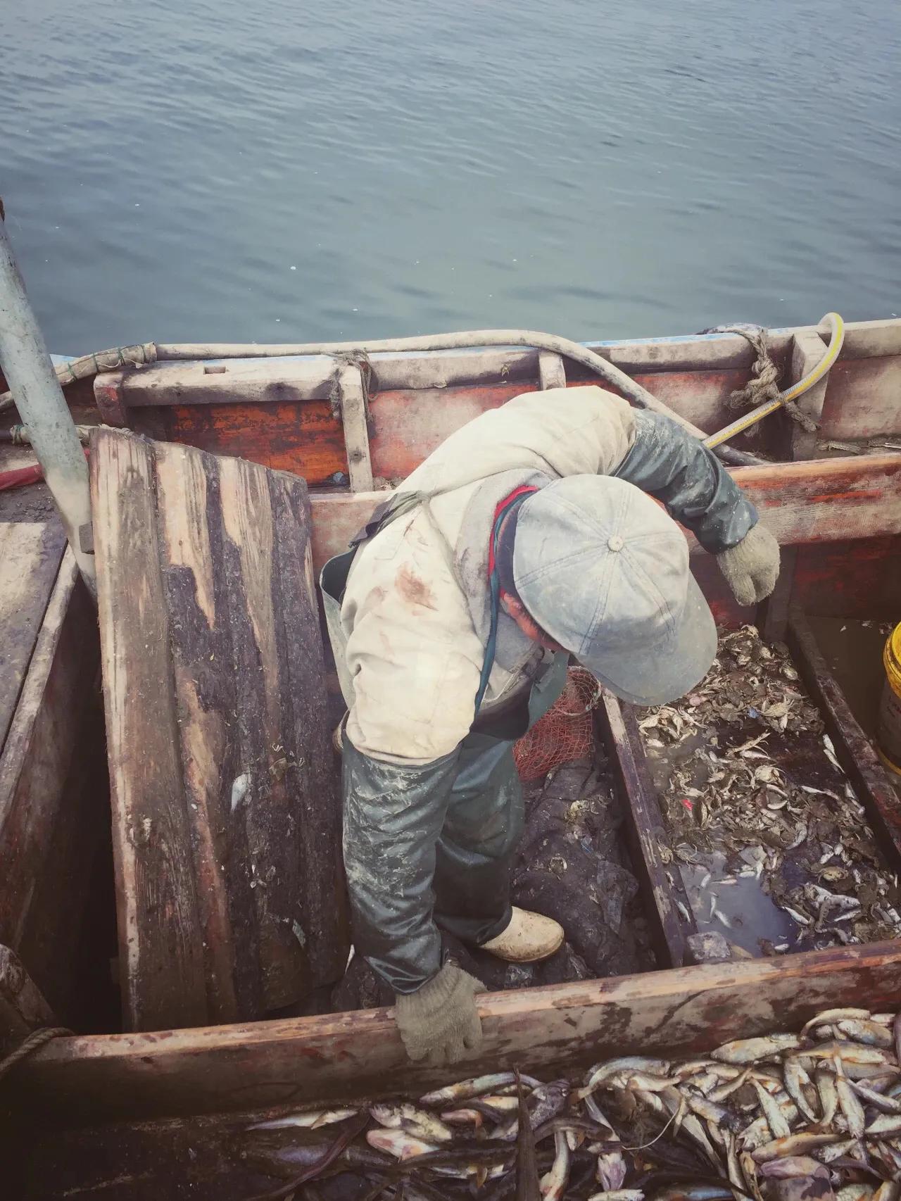 辽东半岛小渔村,辽南小渔村