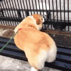 怎么缓解腰引起的臀部疼痛,怎样治疗腰痛和臀部肌肉疼痛