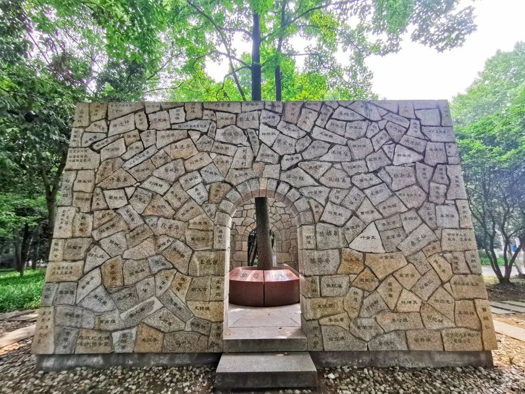 全国第一!华中农业大学真是太太太牛了