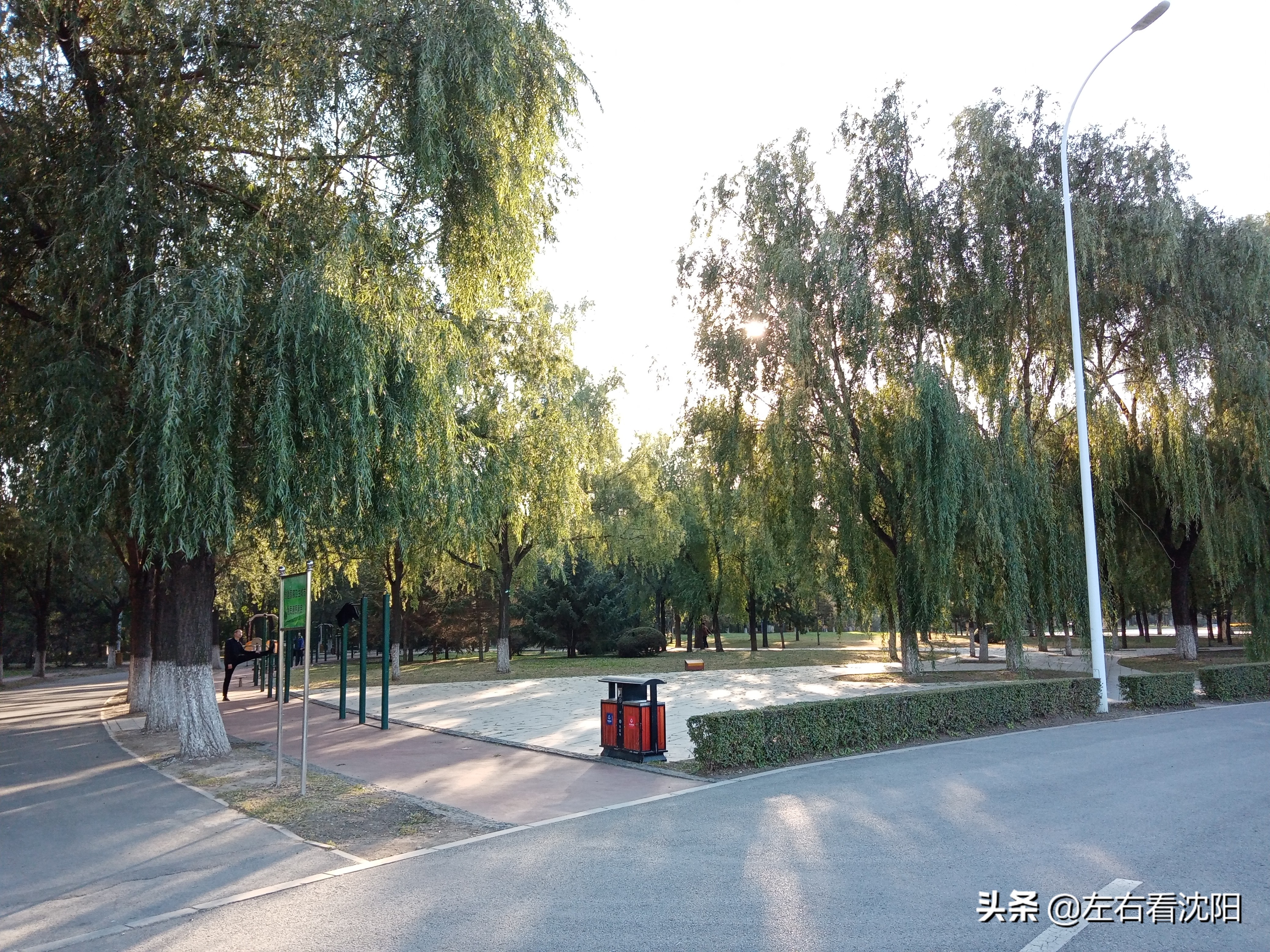 沈阳五里河公园攻略,沈阳五里河公园现在开吗