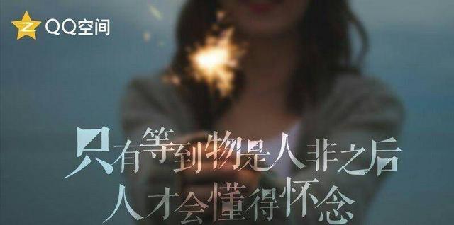 文心的诗,文心的诗词