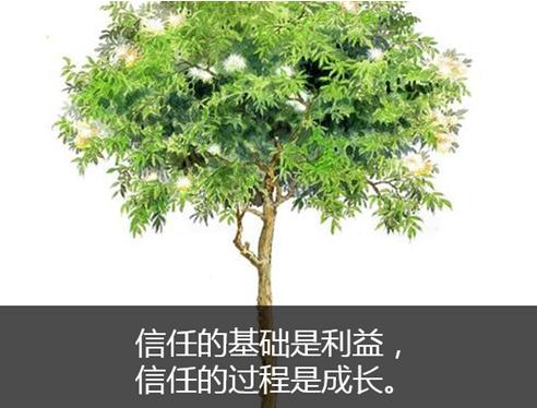 求职问题绝对值,工作中斤斤计较的人怎么应对