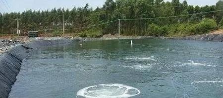 南美白对虾上料台寥寥无几,南美白对虾料吃不完怎么办