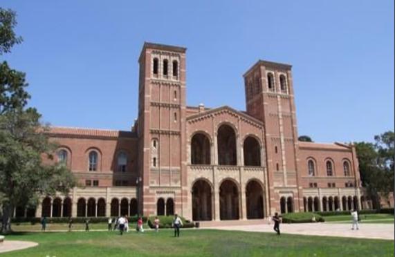 奢侈品管理专业都学什么,商科知识