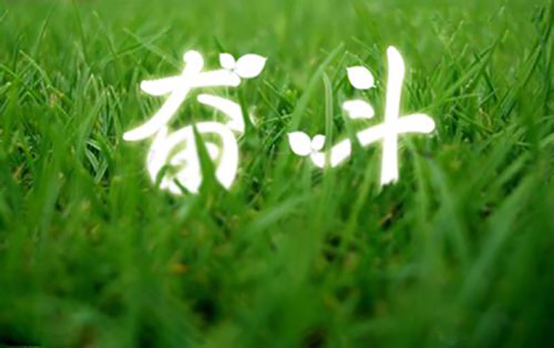 找不到项目怎么创业,找不到创业的地方怎么办