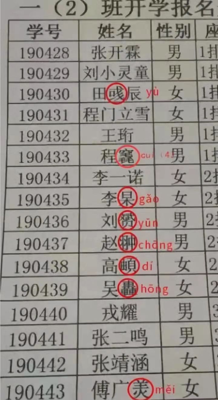 小学生因姓名简单爆红连名带姓,小学生名字因两笔走红