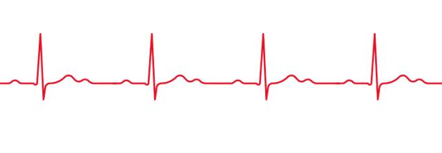 我的心脏砰砰跳400字作文,我的心脏砰砰跳儿歌