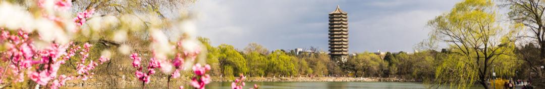 北大学长分享考研经验,北大行政管理考研