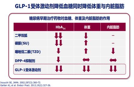 肥胖与腹型肥胖的健康指导,胖纸的优势