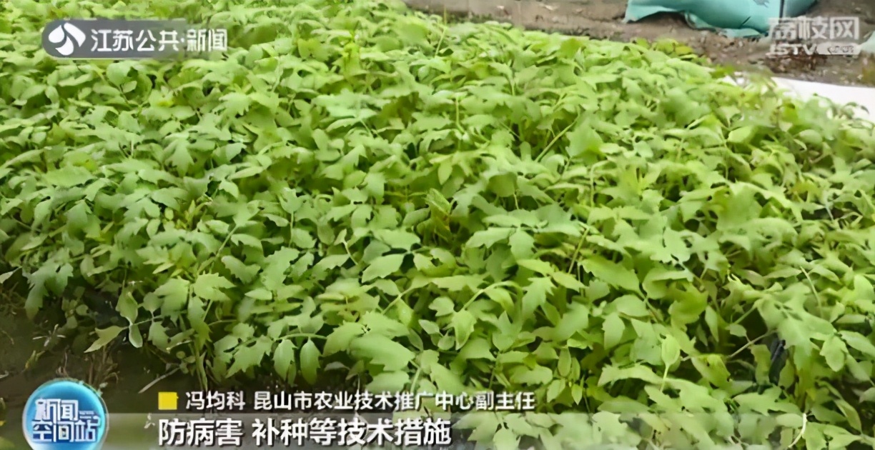 24小时水务抢修,抢修水表