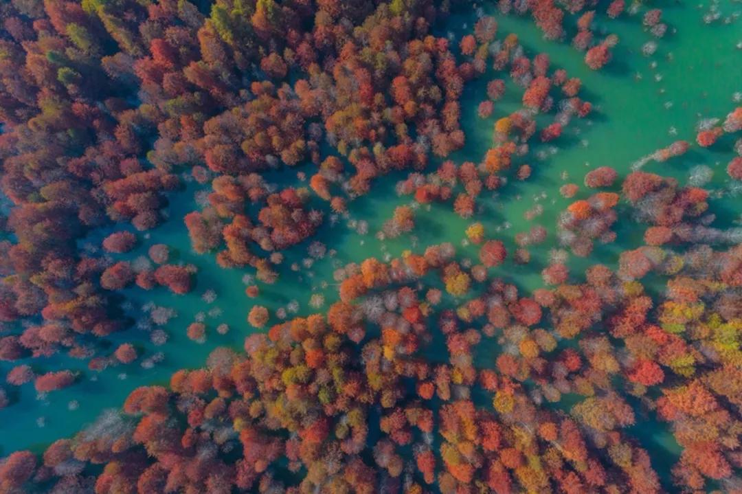 10月下旬徽州摄影推荐,金秋皖南婺源摄影之旅