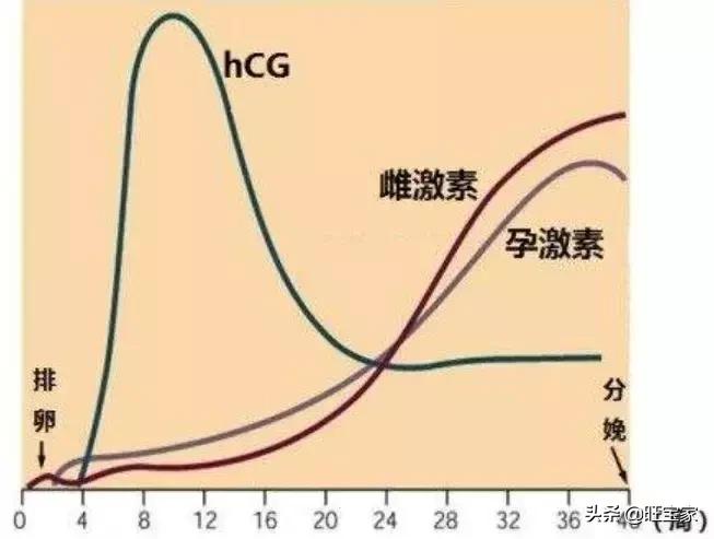 小产坐月子是天方夜谭?小产的这些事儿你必须了解!