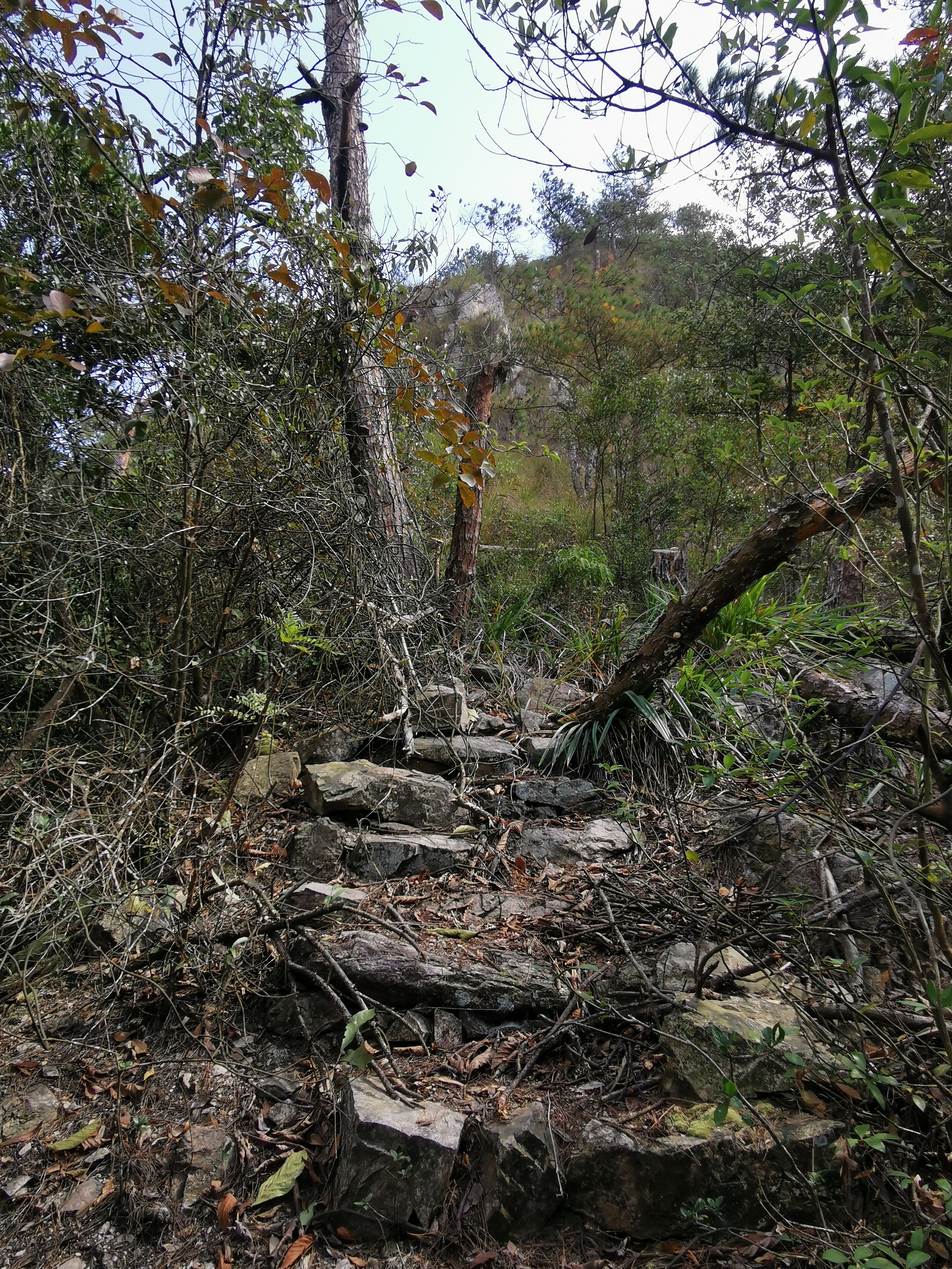 登云水库,登云湖水库