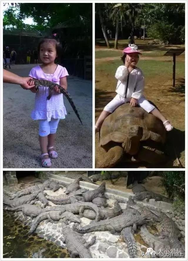 到毛里求斯旅游行程,冲绳到塞班