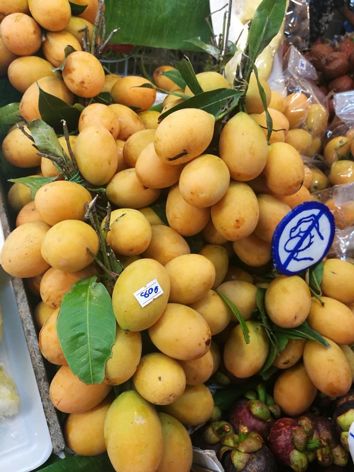 泰国普吉岛斯米兰岛旅游攻略,泰国旅游普吉岛的夏天皮皮岛浮潜