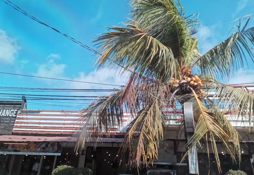 巴厘岛旅游必打卡,巴厘岛六天五晚游