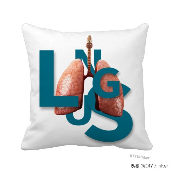 既舒适又可爱的抱枕,复古的抱枕太好看了