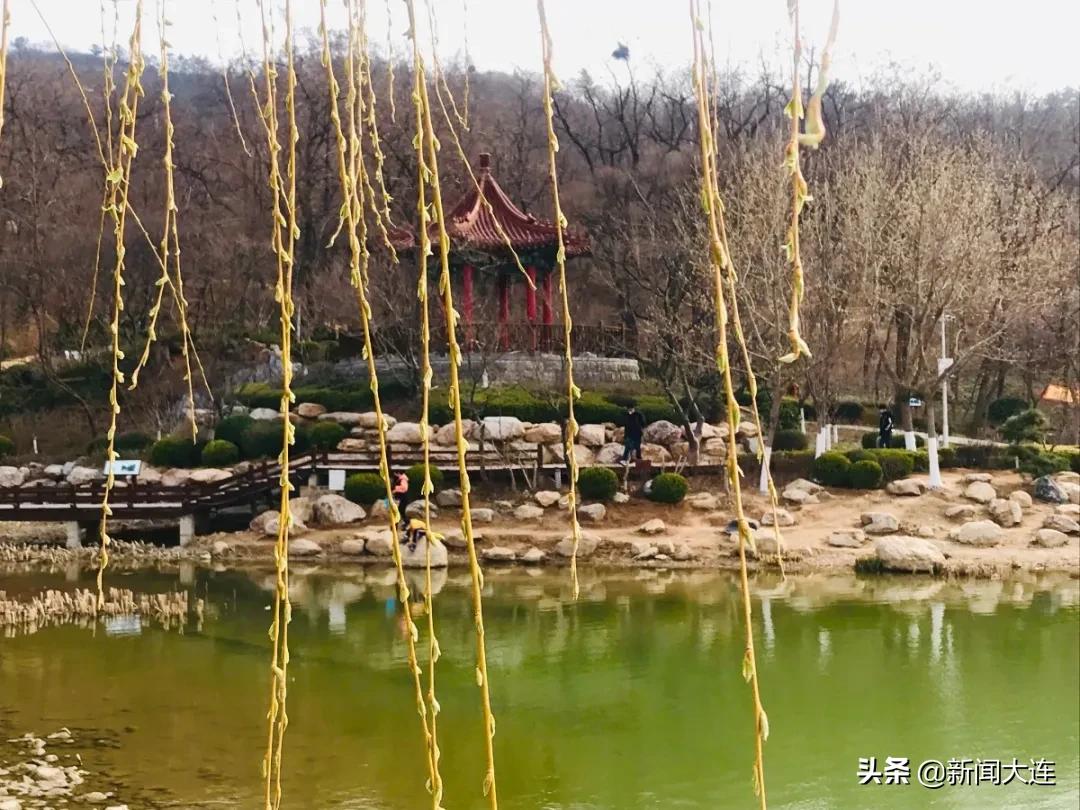 大连野餐必备,大连野餐推荐地点