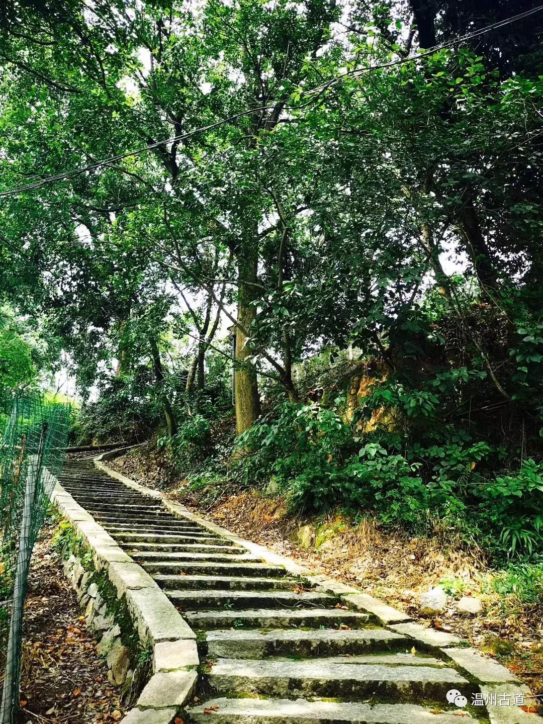 平阳鸣山古村落图片,千年古村平阳县鸣山村古城夜景