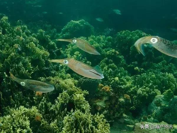 硬核科普全部,硬核科普大全视频