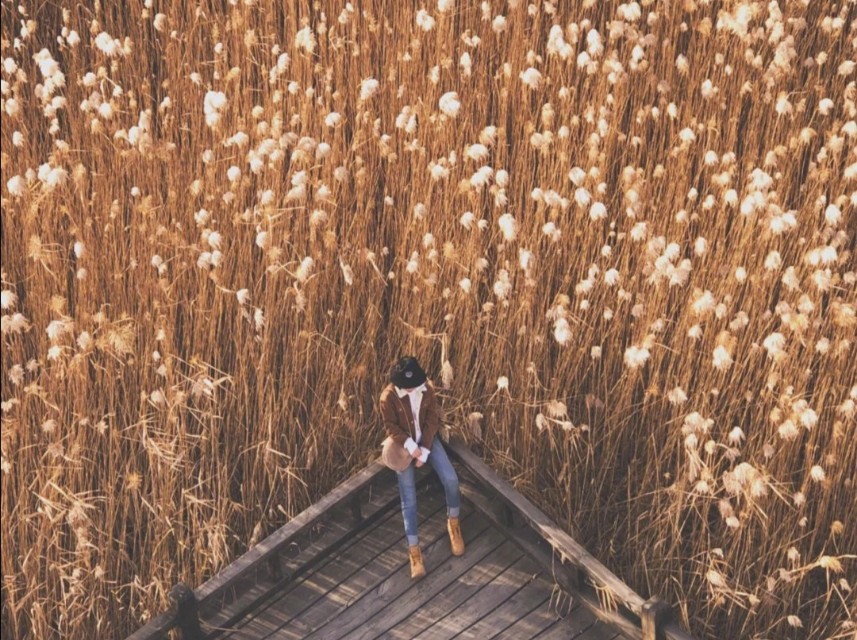 北京游玩攻略不需要门票,北京长城旅游攻略最佳方案