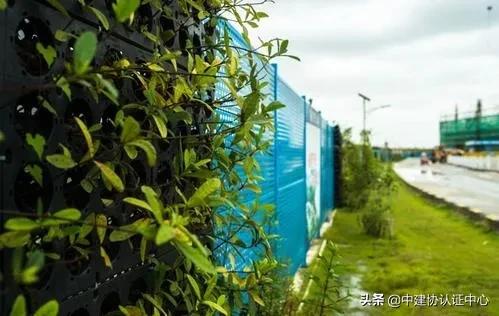 你希望在哪个环境下工作,你希望在什么样的单位工作