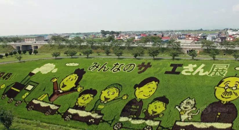 相差50年！“变态”的日本农业震撼中国农业经营者！引起轰动……