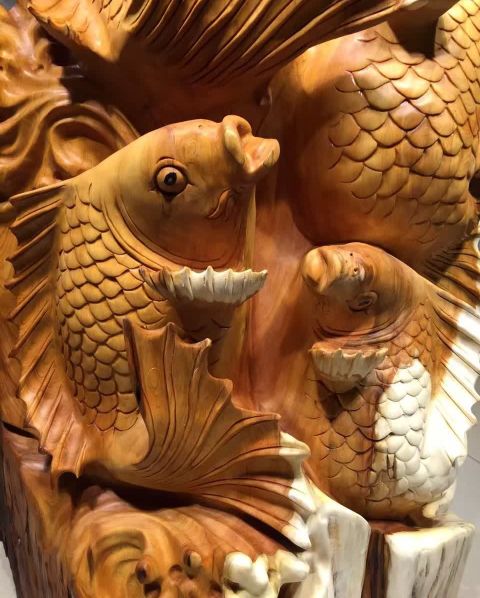 锦鲤的寓意和象征风水图,吉祥物锦鲤的寓意和象征