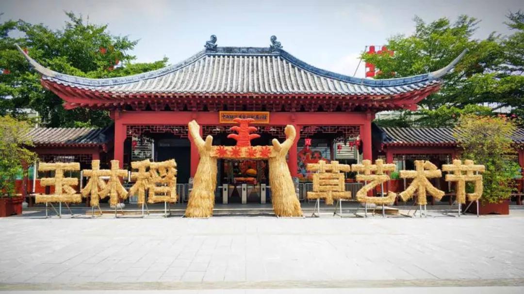 中农富玉大事记,中农富玉未来发展趋势