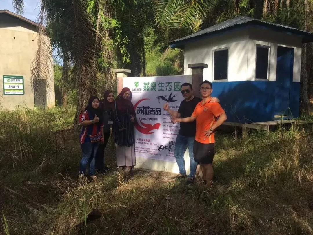 余额宝的资产配置是怎样的,余额宝收益率下跌如何理财