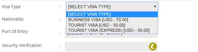去缅甸如何办理签证流程,去缅甸如何办理签证
