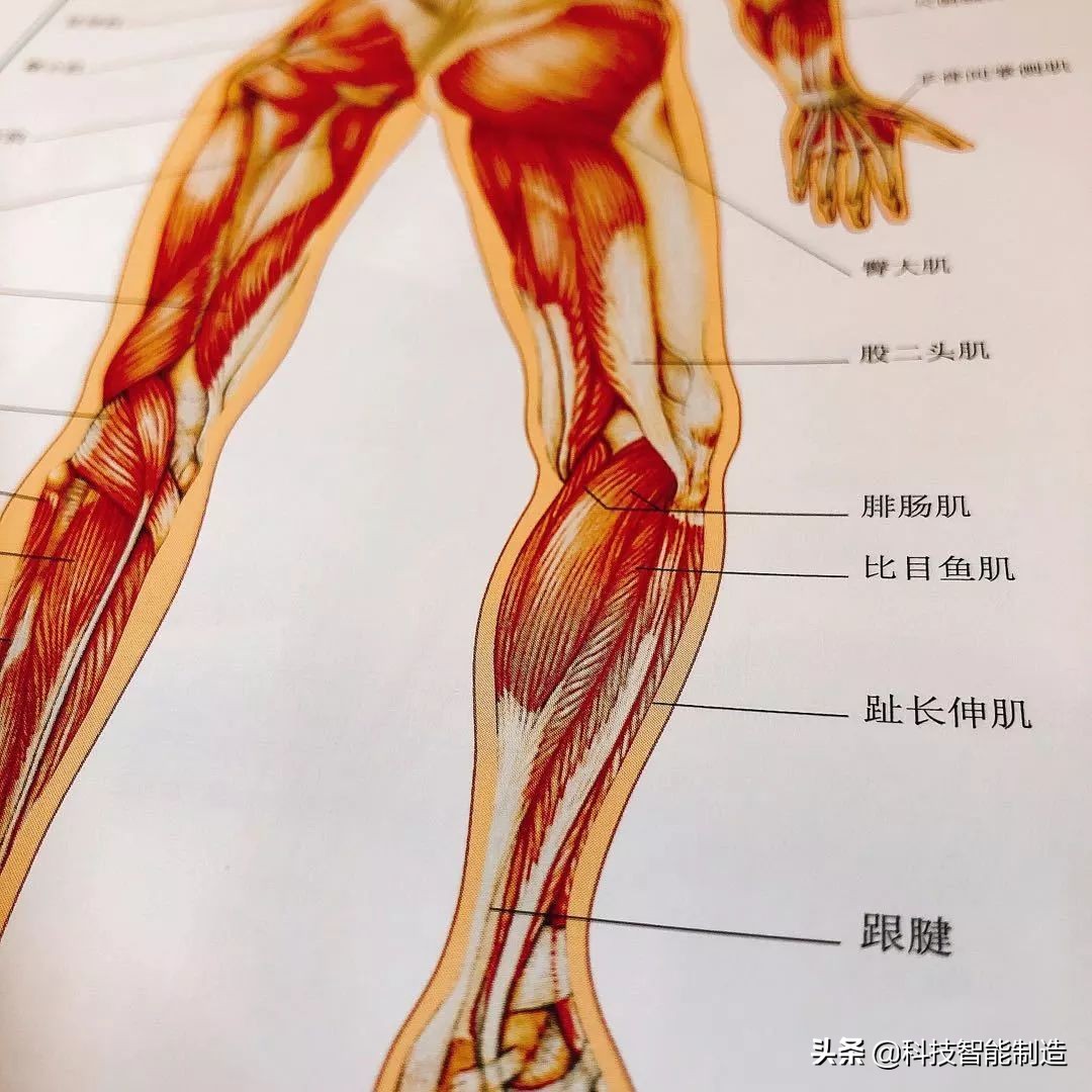给家人宣讲健康知识记录,给父母科普健康知识小品