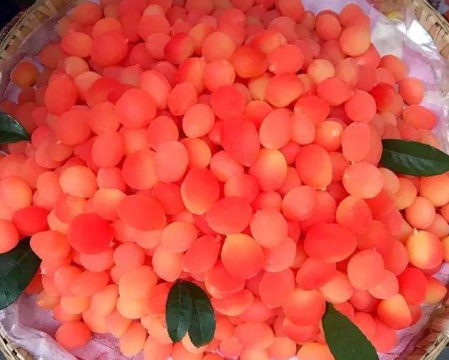 这5种水果建议少吃,这些不常见水果你吃过几样